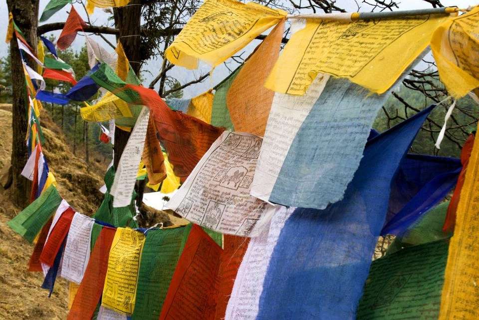 Bhutan, 10 Days Tour (on Request) - Destination Services - Bhutan - Image 17