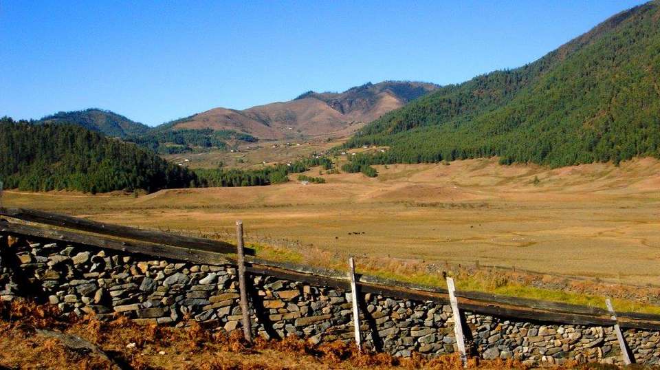 Bhutan, 12 Days Tour (on Request) - Destination Services - Bhutan - Image 15