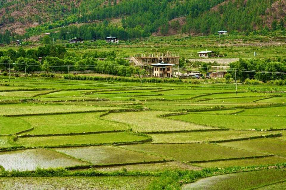 Bhutan, 12 Days Tour (on Request) - Destination Services - Bhutan - Image 10