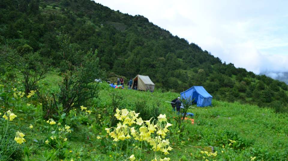 Bhutan Druk Path Trek - World Tour Plan - Bhutan - Image 3