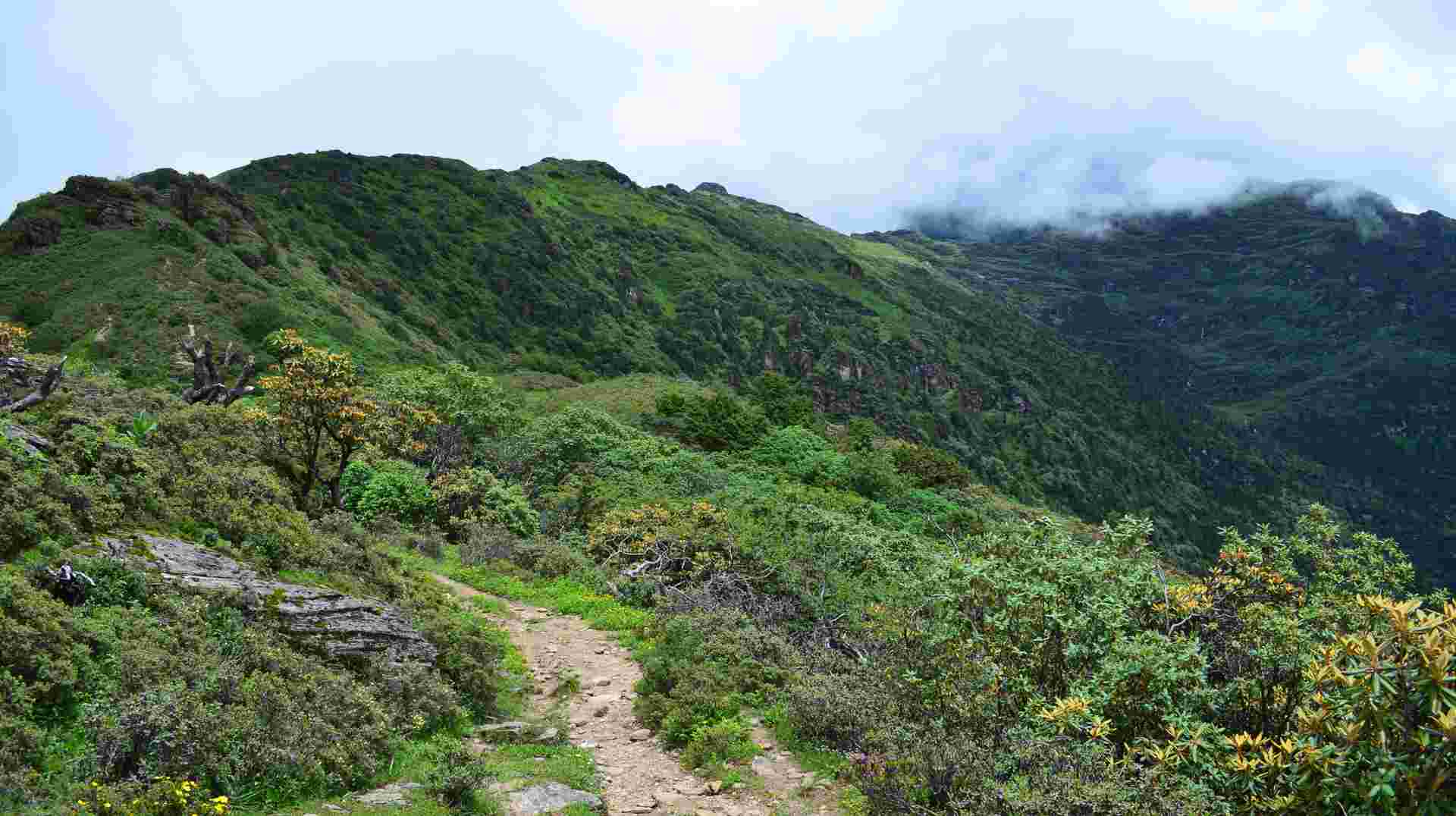 Bhutan Druk Path Trek