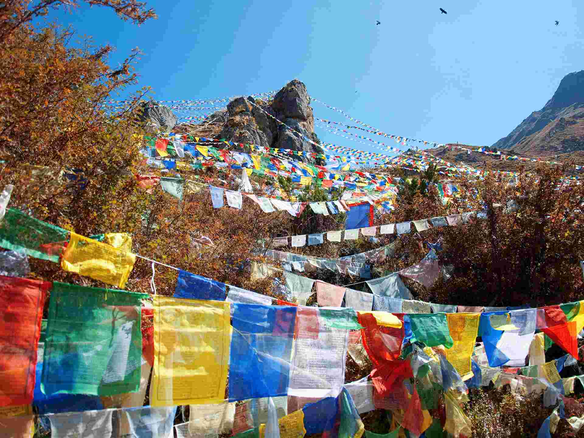 Bhutan Express (4 star) - 4 days