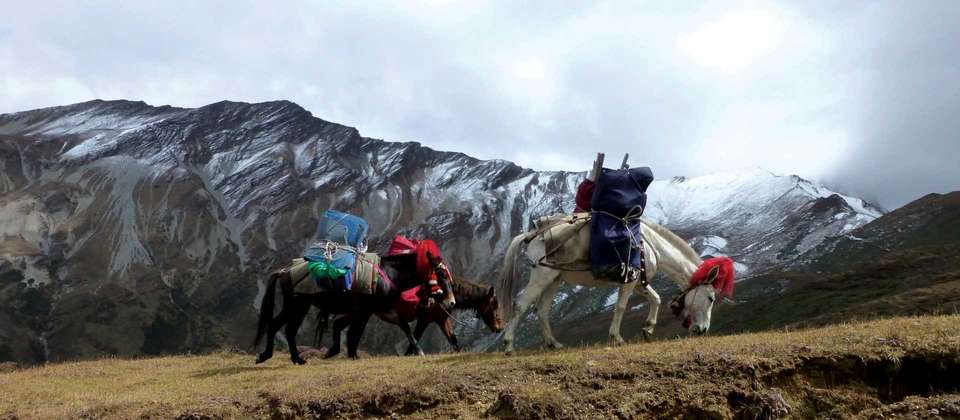Bhutan Snowman Trek with Greg Mortimer - World Expeditions - Bhutan - Image 8