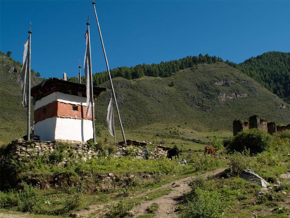 Bhutan: The Haa Valley, Himalayan Passes & Tiger's Nest - G Adventures - Bhutan - Image 9
