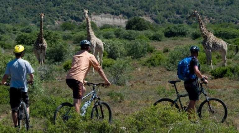 Bike Adventure Through Kilimanjaro trip - alternative tour available