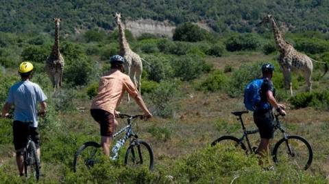 Bike Adventure Through Kilimanjaro - February 2026