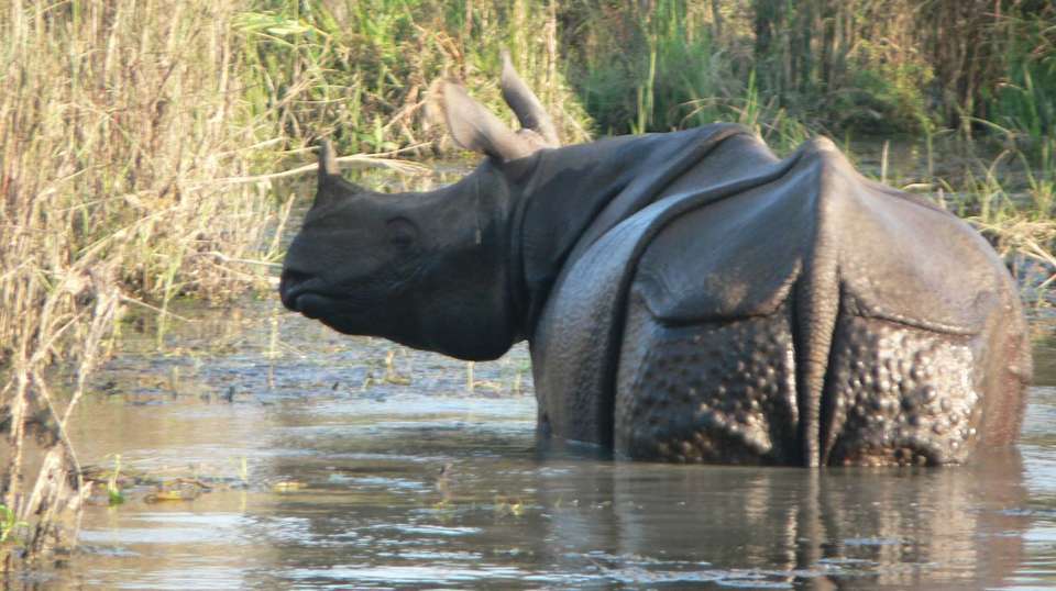 Biking and Safari Adventure - Ace The Himalaya - Nepal - Image 5