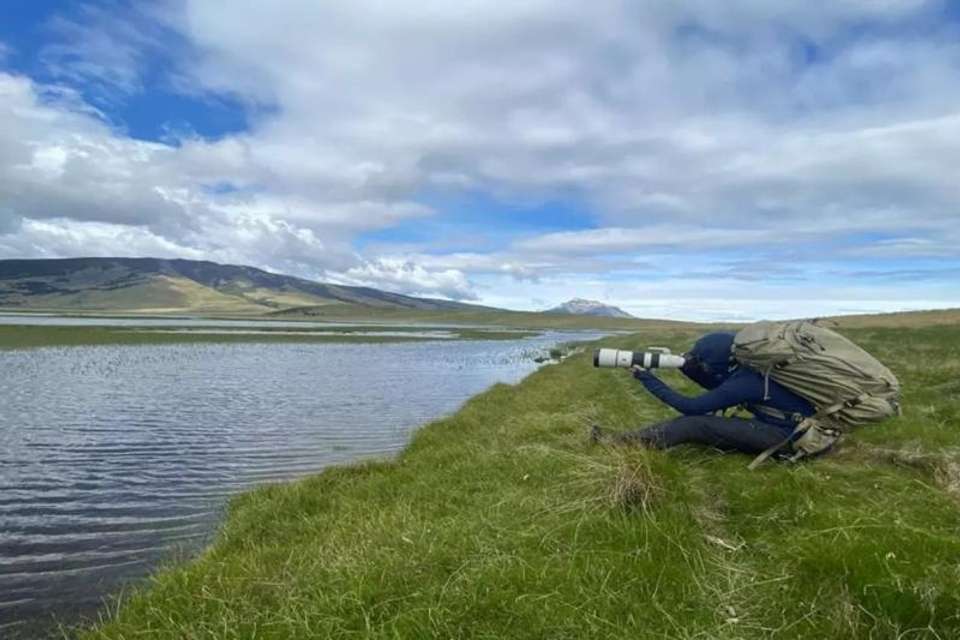 Birding in Torres del Paine National Park - Tangol Tours - Chile - Image 4