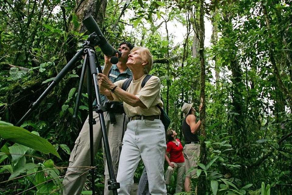 Birding Watching Tour From San José - Destination Services - Costa Rica - Image 2