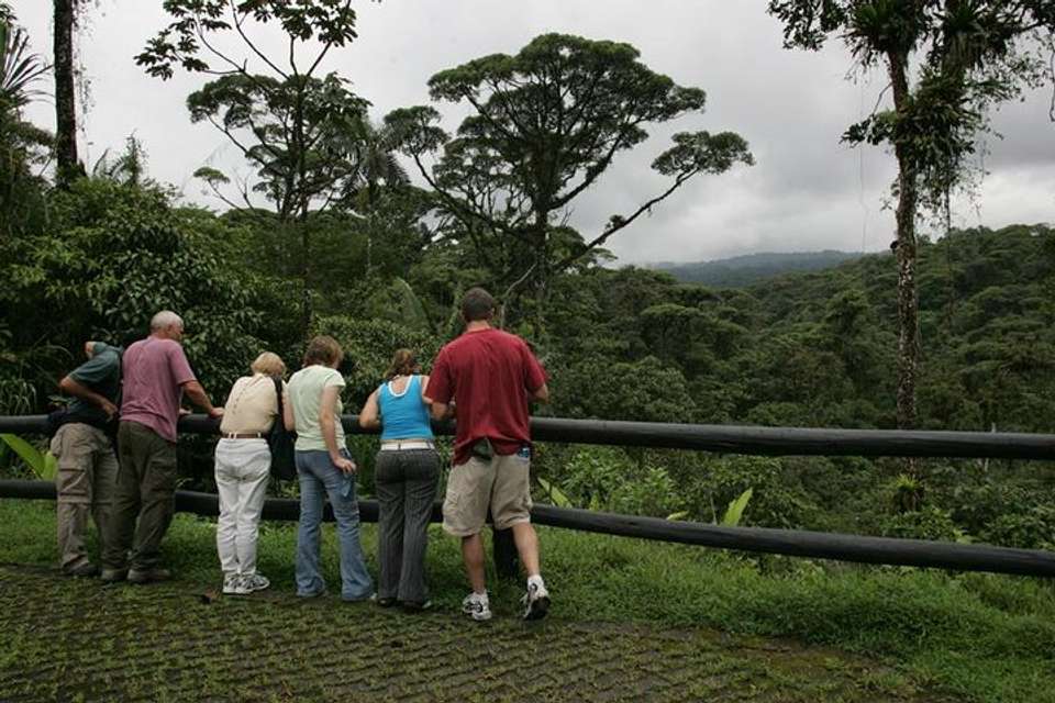 Birding Watching Tour From San José - Destination Services - Costa Rica - Image 9