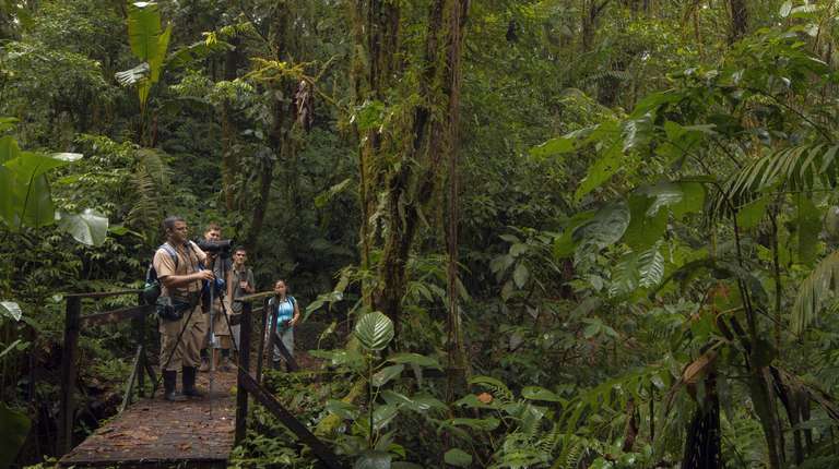 Birdwatching at Arenal Mundo Aventura trip - alternative tour available