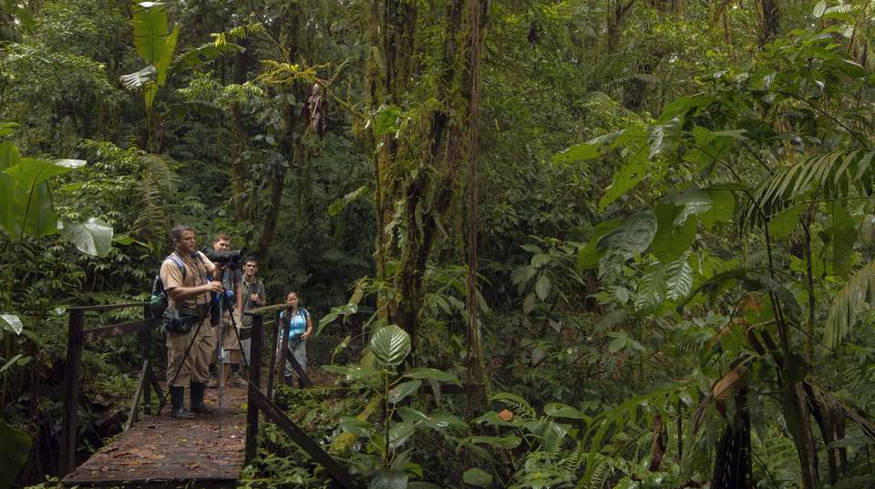 Birdwatching at Arenal Mundo Aventura - Eco Terra Costa Rica - Costa Rica - Image 1