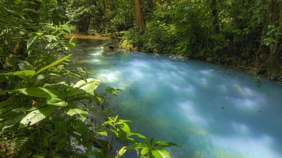 Blue River & Tenorio Volcano National Park Tour - Eco Terra Costa Rica - Costa Rica - Image 2