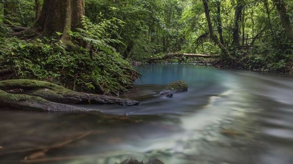 Blue River & Tenorio Volcano National Park Tour - Eco Terra Costa Rica - Costa Rica - Image 3