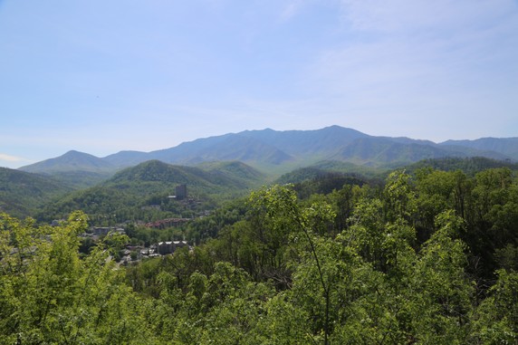 Image 4 of 5