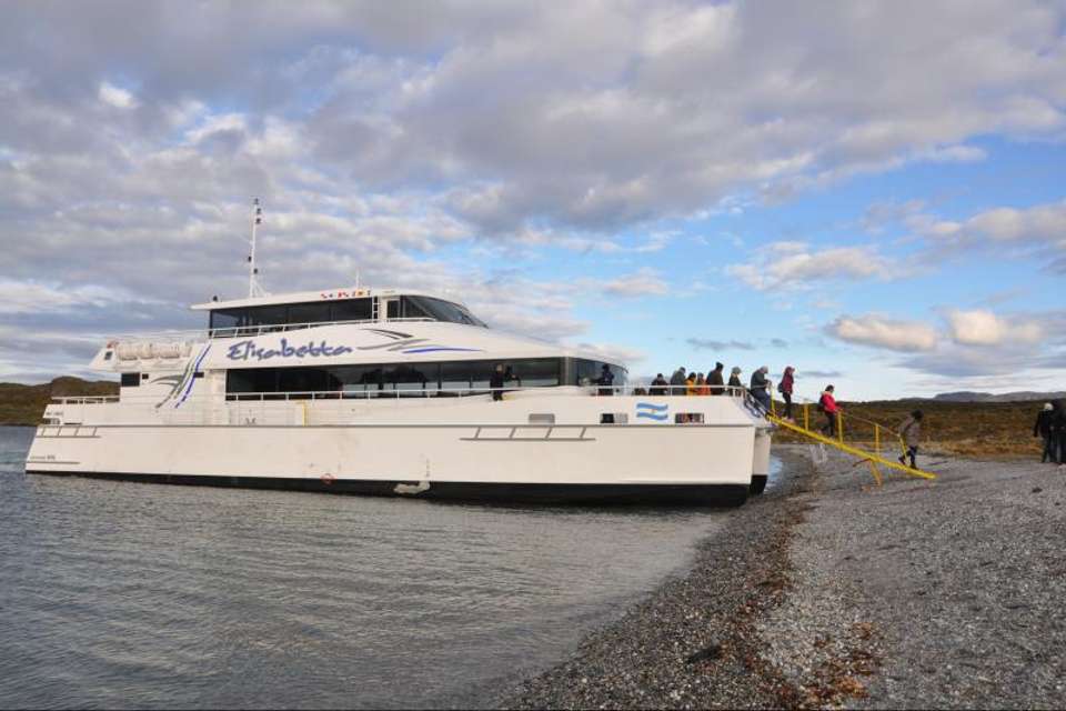 Boat Trip to Penguin Colony from Ushuaia - Tangol Tours - Argentina - Image 6
