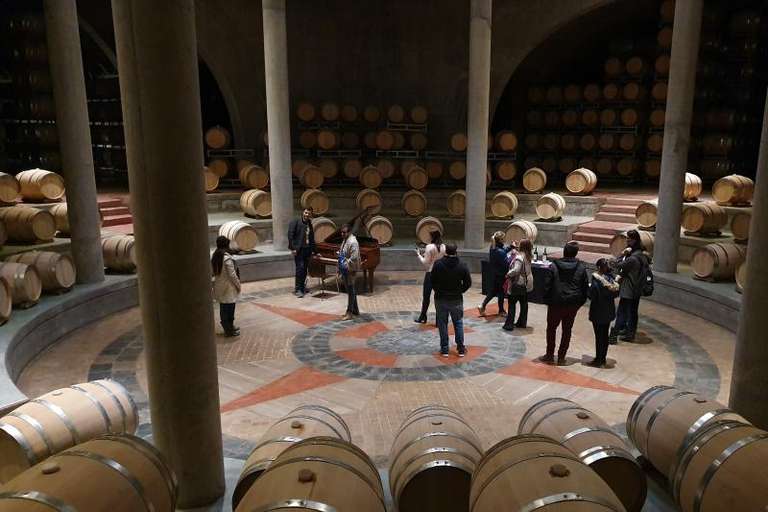 Bodega Salentein: Wine Tour, Premium Tasting & 4-Course Lunch trip - alternative tour available