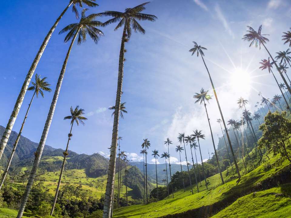 Bogota to Tayrona - 10 days - On The Go Tours - Colombia - Image 4