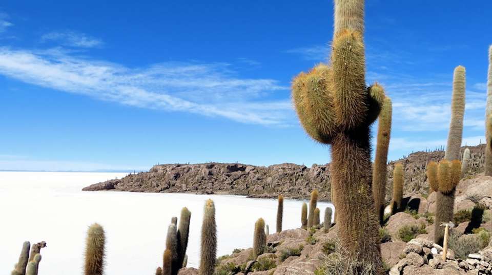 Bolivia Expedition - Gulliver Expeditions - Bolivia - Image 3