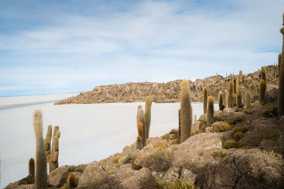 Bolivia Highlights - Intrepid Travel - Bolivia - Image 7