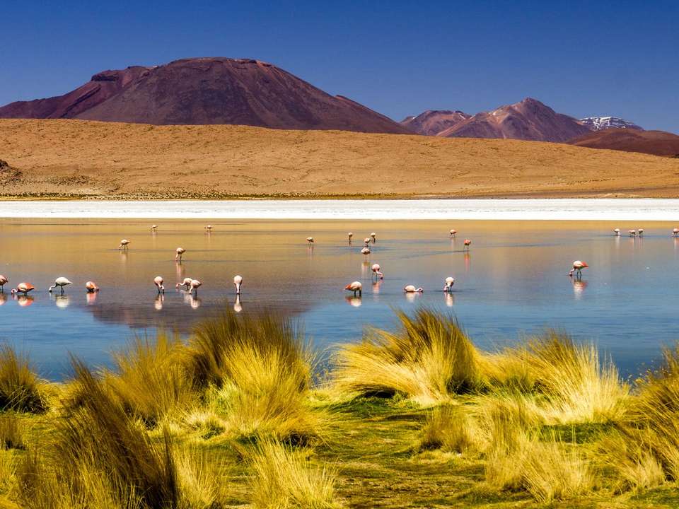 Bolivia Salt Flats & Deserts - 4 days - On The Go Tours - Bolivia - Image 3