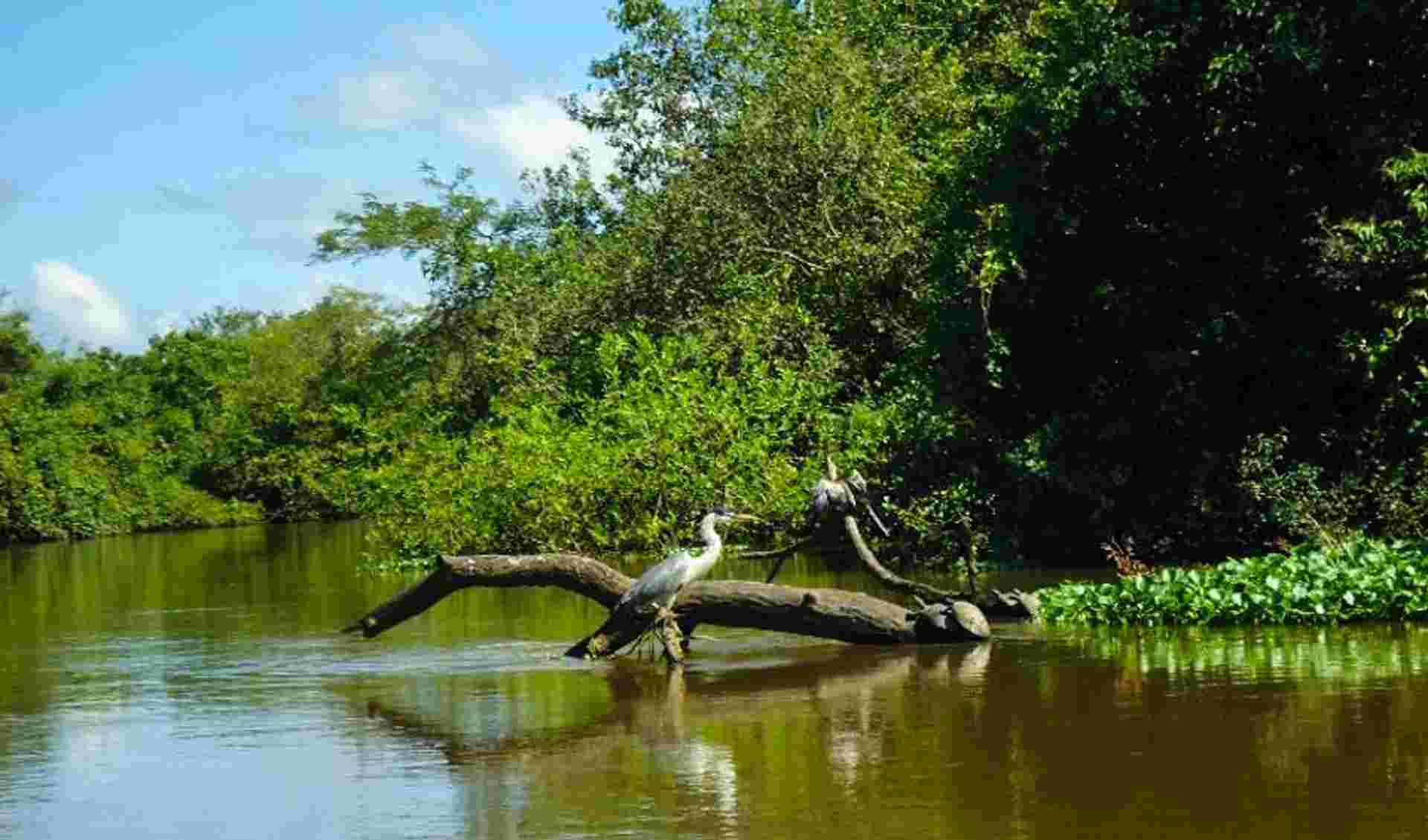 Bolivian Amazon Pampas Adventure 3D/2N (from Rurrenabaque)