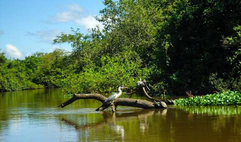 Bolivian Amazon Pampas Adventure 3D/2N (from Rurrenabaque) trip - alternative tour available