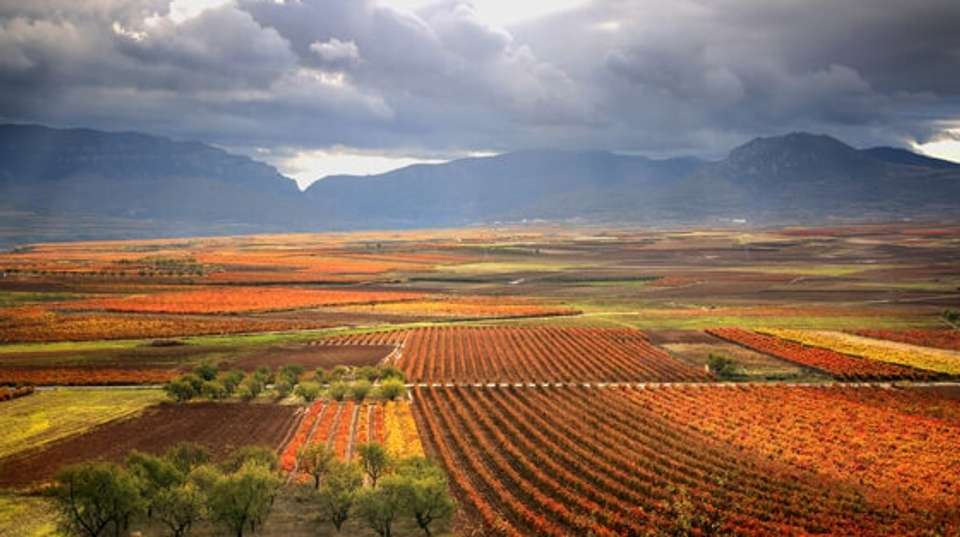 Bordeaux & Northern Spain - undefined - Image 7