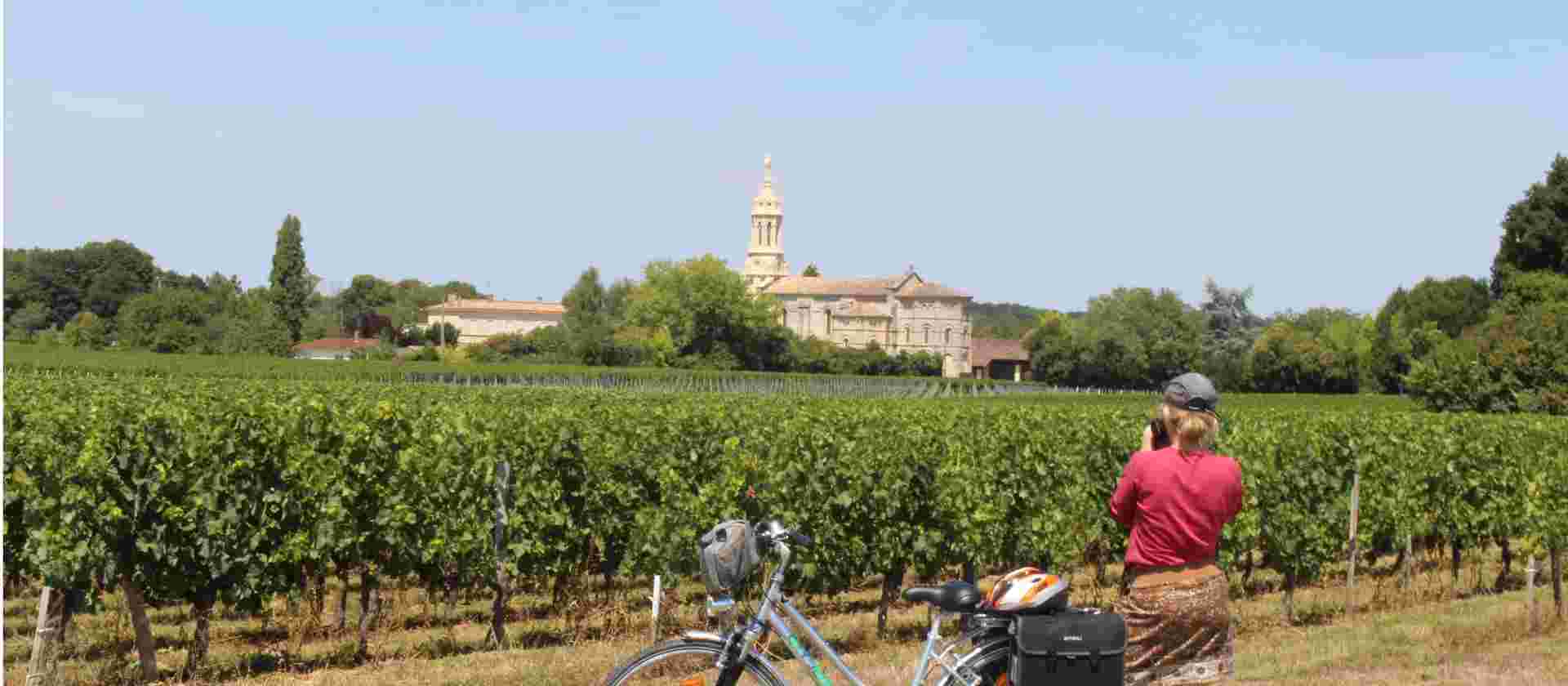 Bordeaux Vineyard Cycle
