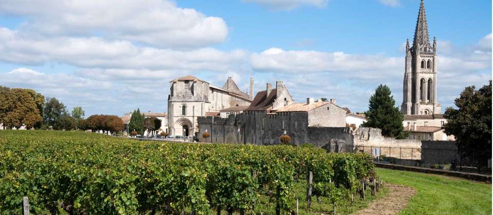 Bordeaux Vineyard Cycle - Utracks - France - Image 2