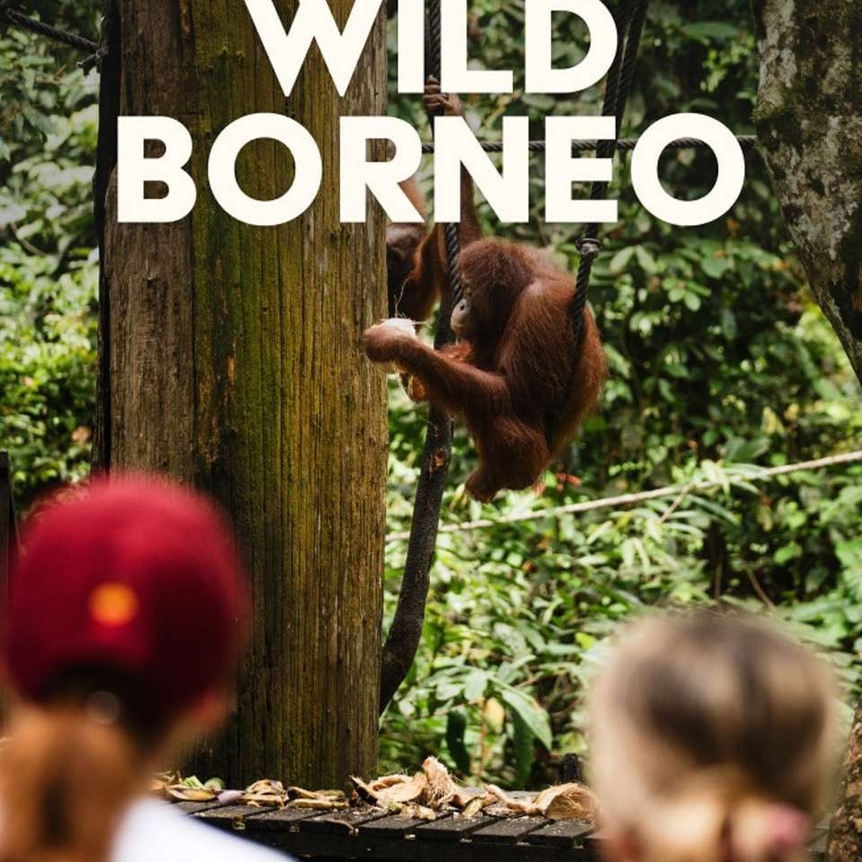 Borneo Adventure - Contiki - Malaysia - Image 6