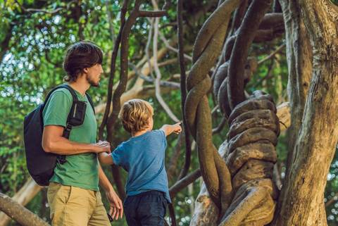 Borneo Family Holiday Comfort - August 2026