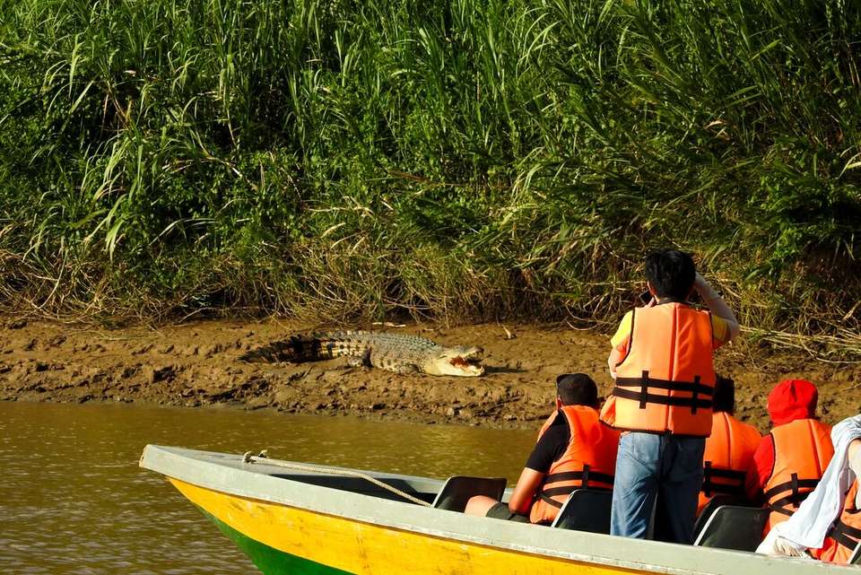 Borneo Family Holiday Comfort - Intrepid Travel - Malaysia - Image 11