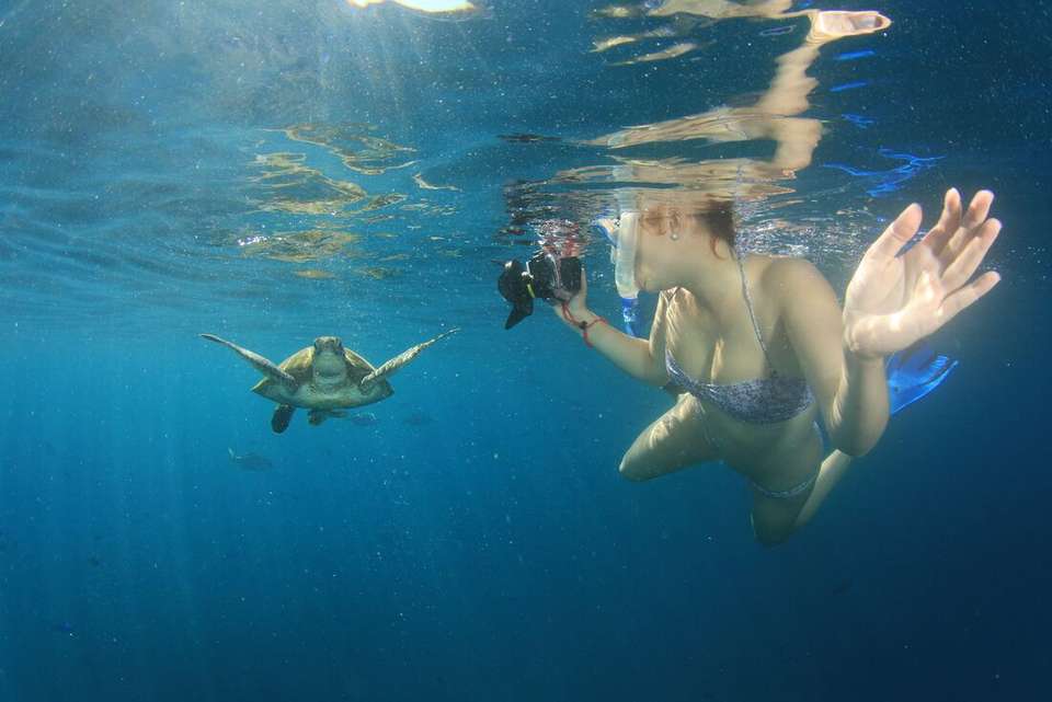 Borneo Family Holiday Comfort - Intrepid Travel - Malaysia - Image 12