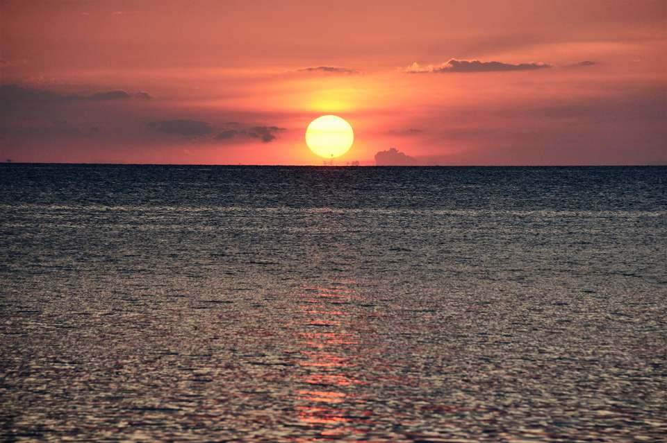 Image 8 of 11
