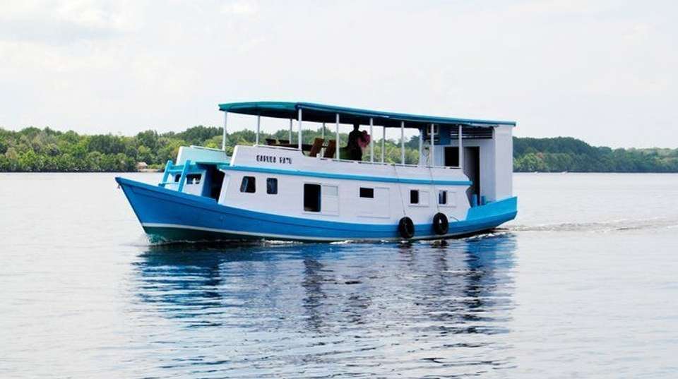 Borneo Orangutan & River Safari Tour - Adventure Indonesia - Indonesia - Image 5