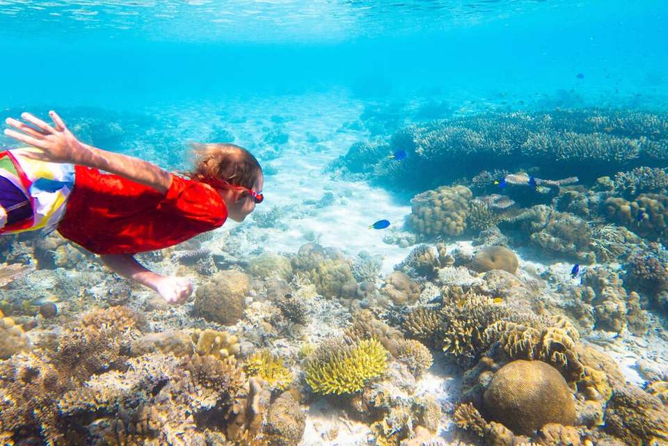 Borneo Premium Family Holiday - Intrepid Travel - Malaysia - Image 7
