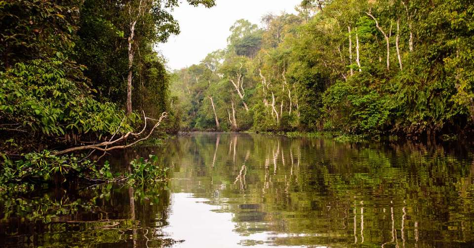 Borneo Sabah Wildlife Highlights - Explore - Malaysia - Image 7