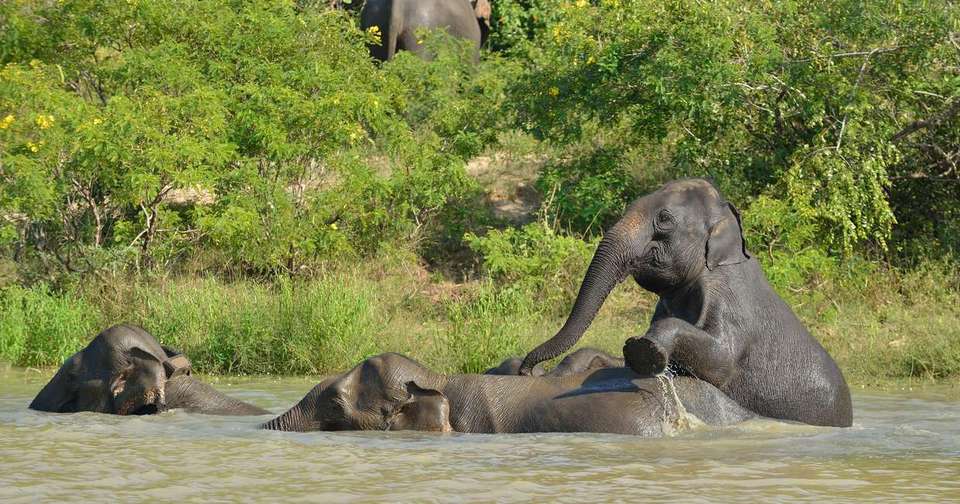 Borneo Sarawak and Sabah Discovery - Explore - Malaysia