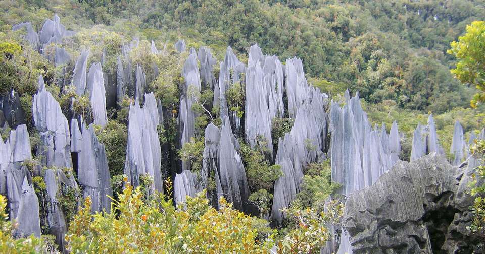 Borneo Sarawak and Sabah Discovery - Explore - Malaysia