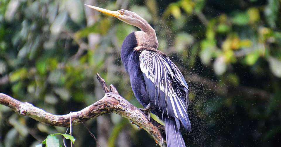 Borneo Sarawak and Sabah Discovery - Explore - Malaysia