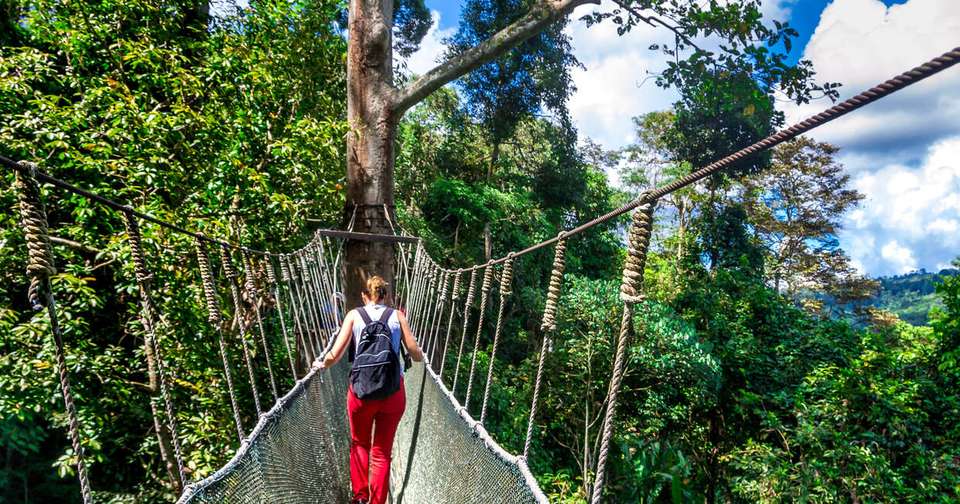 Borneo Sarawak and Sabah Discovery - Explore - Malaysia