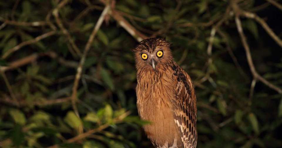 Borneo Sarawak and Sabah Discovery - Explore - Malaysia