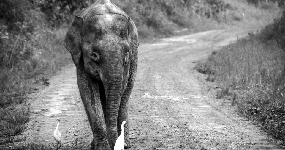 Borneo Sarawak and Sabah Discovery - Explore - Malaysia