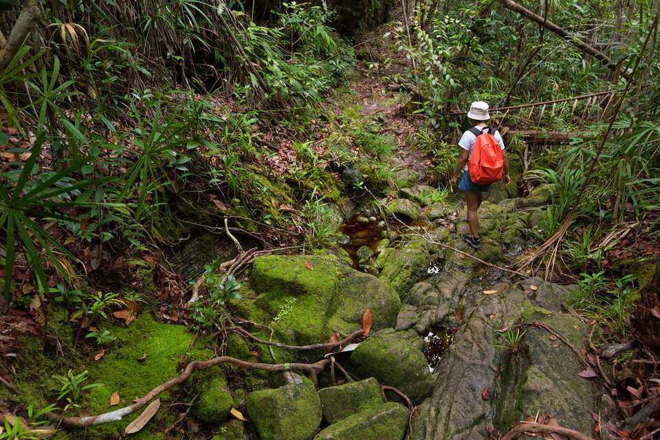Borneo Sarawak Highlights - Explore - Malaysia - Image 2