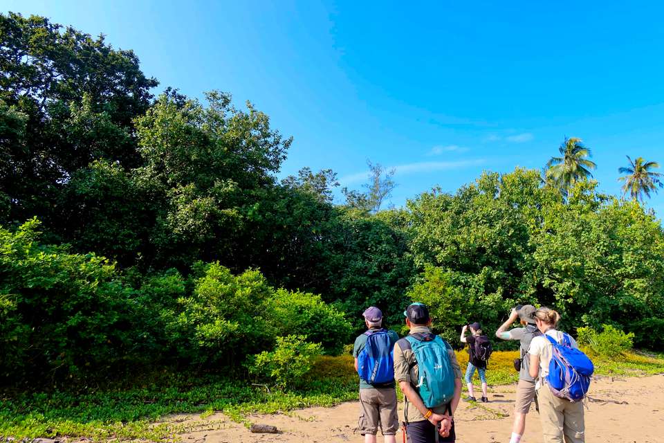 Borneo Wildlife Discoverer - Exodus Adventure Travels - Malaysia