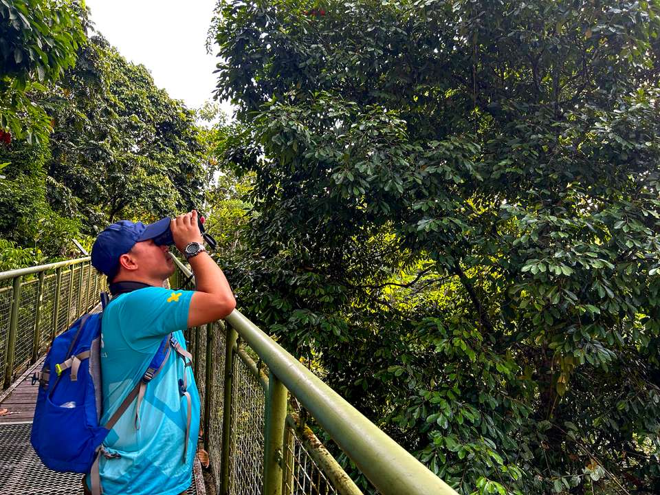 Borneo Wildlife Discoverer - Exodus Adventure Travels - Malaysia