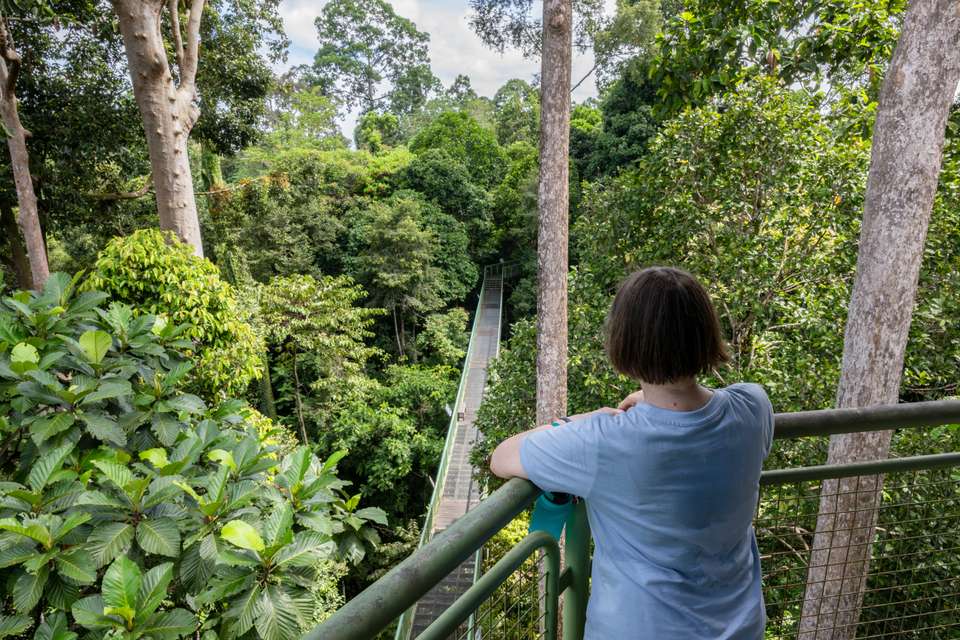 Borneo Wildlife Discoverer - Exodus Adventure Travels - Malaysia