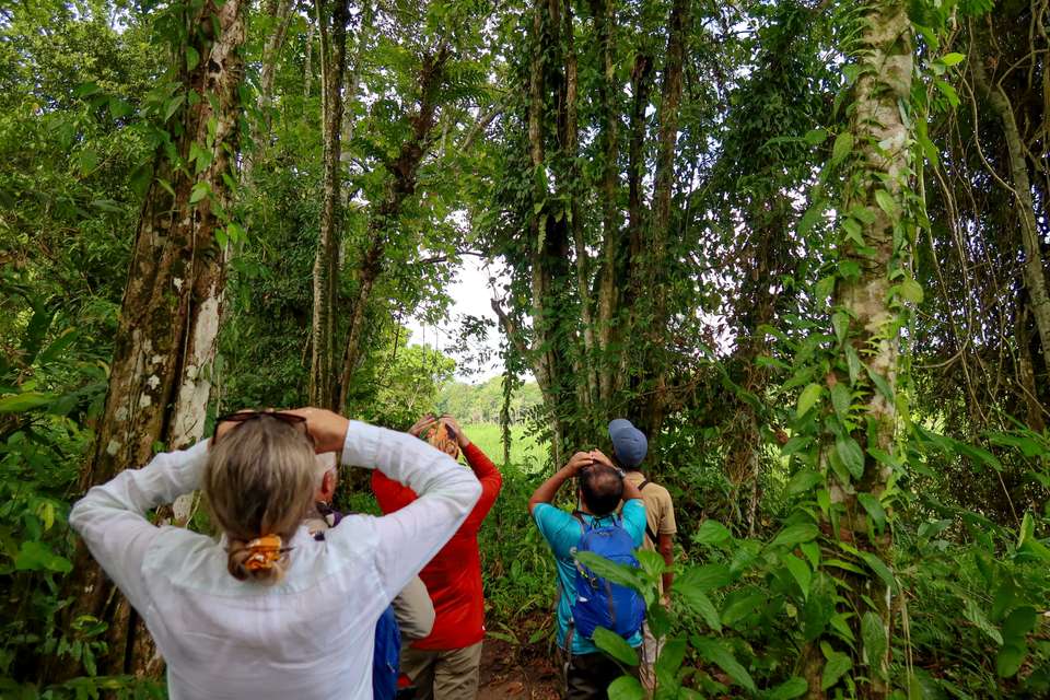 Borneo Wildlife Discoverer - Exodus Adventure Travels - Malaysia