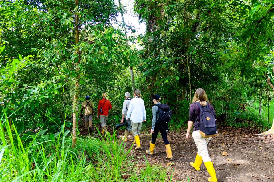 Borneo Wildlife Discoverer - Exodus Adventure Travels - Malaysia